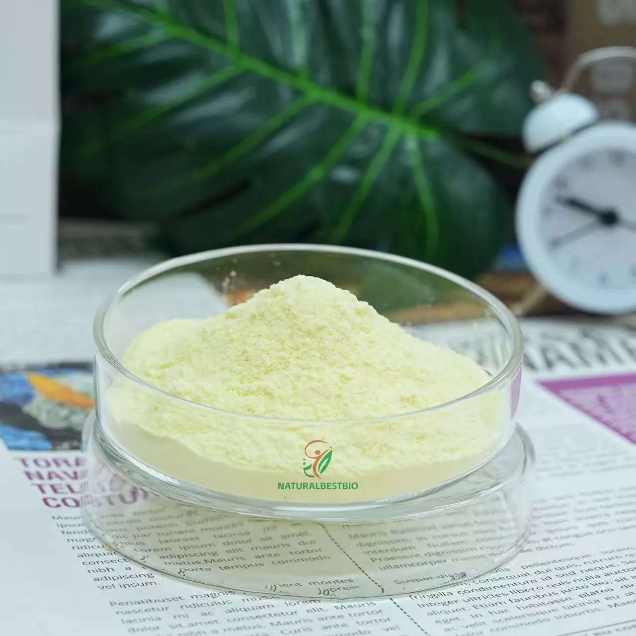 Fenugreek Extract - 图片 2