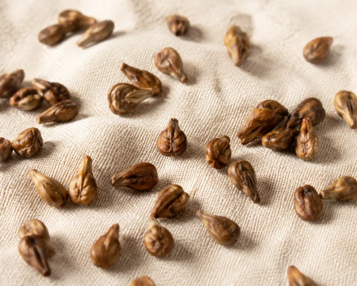 Grape Seed Extract: What B2B Buyers Actually Need to Know Before Sourcing