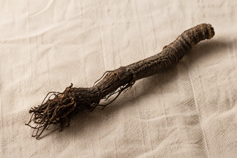 Menopause Relief Natural: What B2B Buyers Must Know Before Sourcing Ingredients